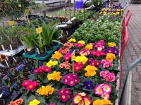 Het voorjaar komt eraan!