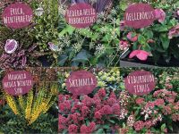 De mooiste najaars- en winterbloeiers